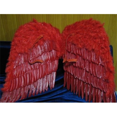 product-view