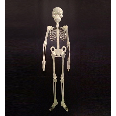 product-view